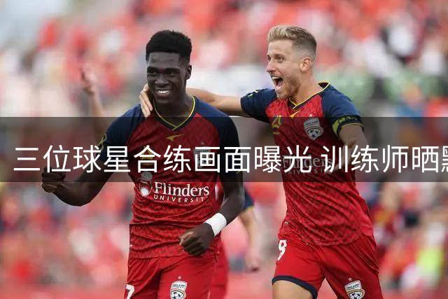 三位球星合练画面曝光 训练师晒默契培养片段